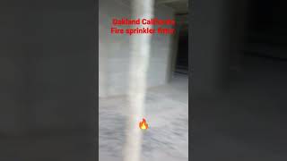 #firesprinkler#fireprotection#apprentice#oakland