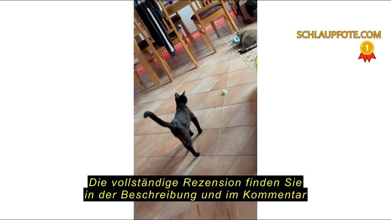 Produktbewertung GJCrafts Interaktives Katzenspielzeug für Drinnen, Katzenlaufband, Automatisches/Fe