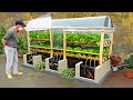 Farmer taught how to diy aquarium and greenhouse to grow aquatic vegetables