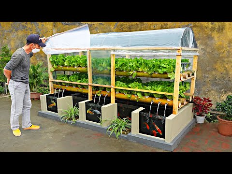 Video: Mini Hydroponic Garden: Bir Tezgah Üstü Hydroponic Garden Büyütün