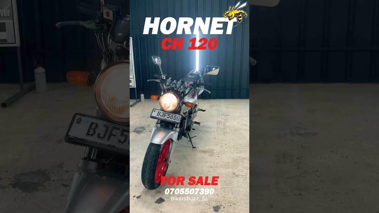 Honda Hornet 250 | CH 120  
