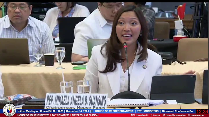 Bicameral Conference Committee Meeting on the Disagreeing Votes on House Bill No. 4058 (Part 2)