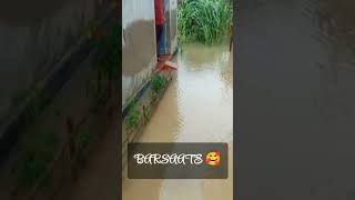 BARSAATE