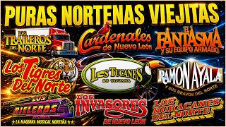 💥PURAS NORTEÑAS VIEJITAS MIX 🔥Puros Clásicos | Tigres, Tu...
