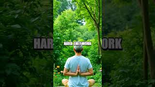 The Hidden Wealth Builder in Your Daily Routine