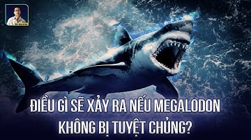 TRÁI ĐẤT SẼ RA SAO NẾU CÁ MẬP KHỔNG LỒ MEGALODON CHƯA BỊ TUYỆT CHỦNG?