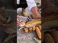 Simple handheld tools for cleaning corn husks: corn husk remover