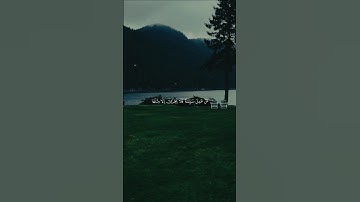 سورة غافر | علي جابر 🤍 #قرآن #quran #راحة_نفسية #علي_جابر #سورة_غافر #قران_كريم