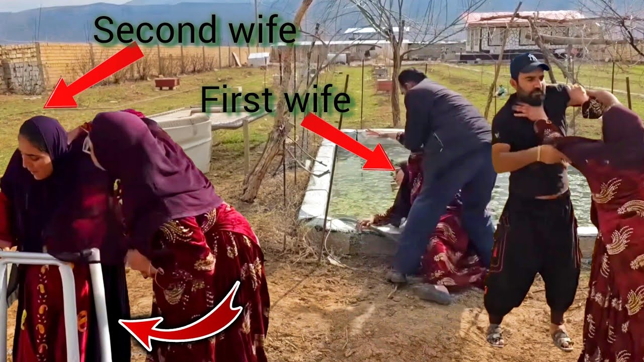 Rural Life/Who is the victor in this battlefield? Shokoofeh? 