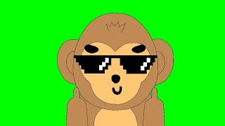 Brown Monkey Shows Middle Finger In Green Screen | aniamationgifs | Funny Monkey