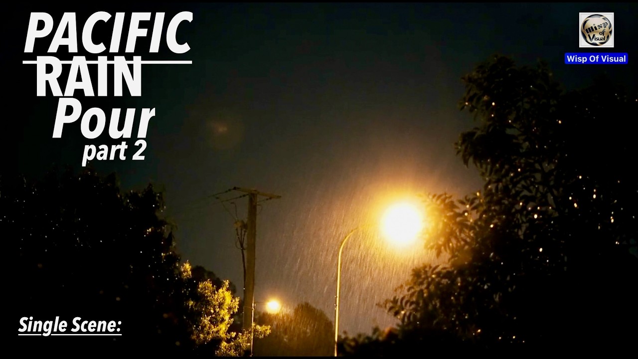 Nighttime Relaxation: Pacific Rain Difference! 
