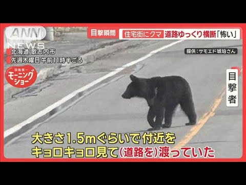 眼球を取って縫合…」住宅ガラス突き破りクマ侵入、男女3人襲