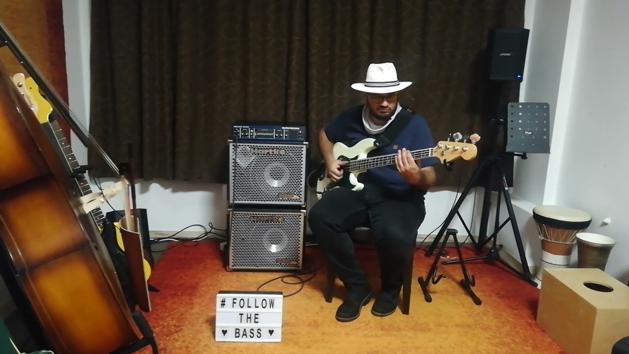 White Home Special Jazz Bass/Hartke HA3500/HX112