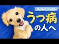 うつ病動画総集編 未公開動画付き(聞き流し)(睡眠導入用)(作業用)