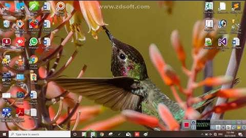 02   How To Create Report in Tally . ERP9 Using TDL
