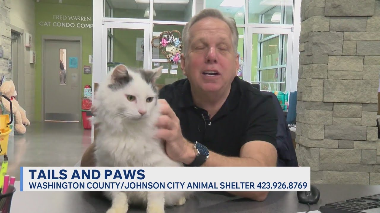 Tails and Paws for Friday, January 9, 2026