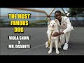 The World's Most Famous Dog Joined My Photoshoot with Viola Snow