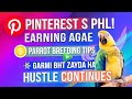 Zero Sy Start Day 11 | Pinterest First Earning 💸 | Garmi Zyada, Sale Slow 😓 | Parrot Breeding Tips
