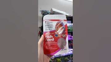 Thức ăn tăng cường màu sắc và size cho các dòng cá cảnh Dr+ Vibra Worm