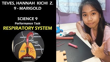 RESPIRATORY SYSTEM - SCIENCE 9 Performance Task