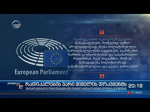 რადიკალების უარი მიშელის დოკუმენტს