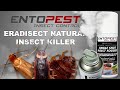 Entopest Single Shot Insect Fogger