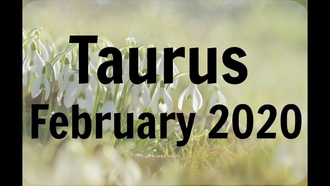 TAURUS FEBRUARY 2020 * BUSY TIMES FOR YOU TAURUS: PEOPLE WANT TO HELP YOU: FOCUS ON YOUR DREAMS