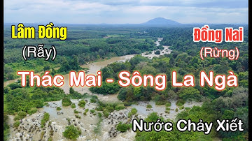 Dòng nước xiết của sông La Ngà vượt qua thác Mai đổ xuống hạ lưu / Đường rừng đẹp nhất Đồng Nai.