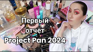 Первый отчет Project Pan | Все плохо?