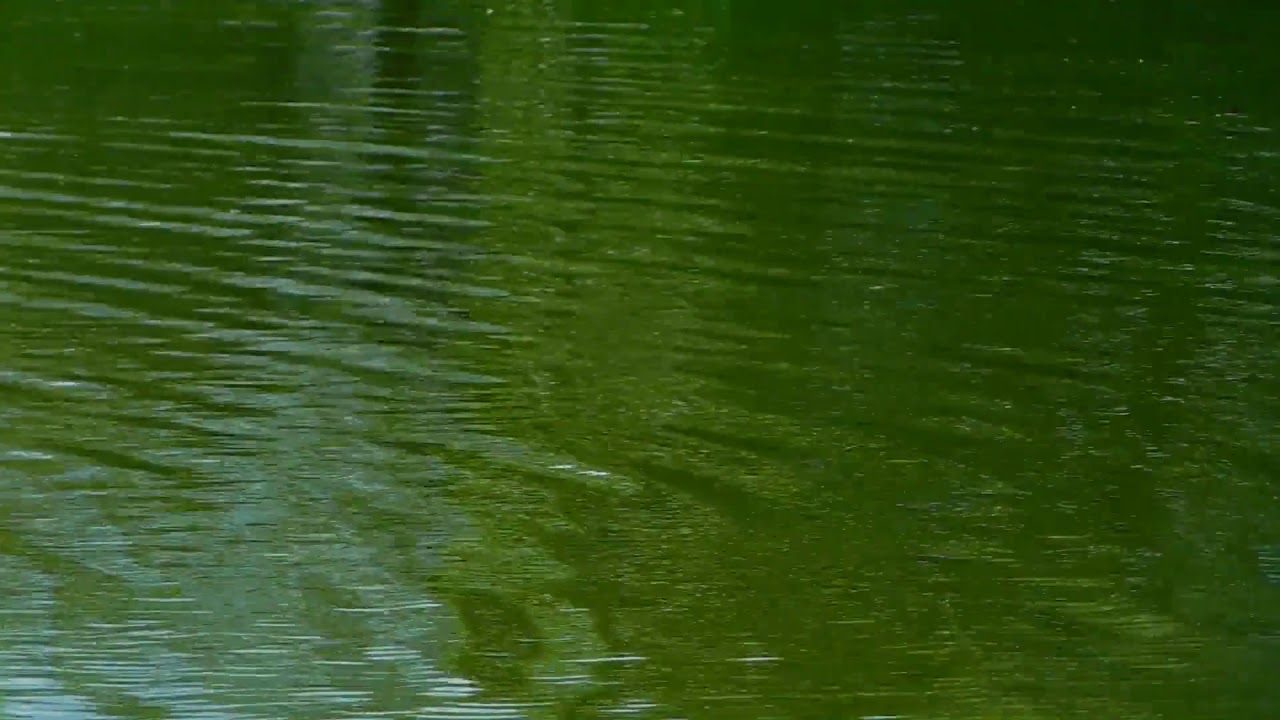 Water Ripple Flow water, ripples, water flow, flow, river, nature - Free Stock Creative ...