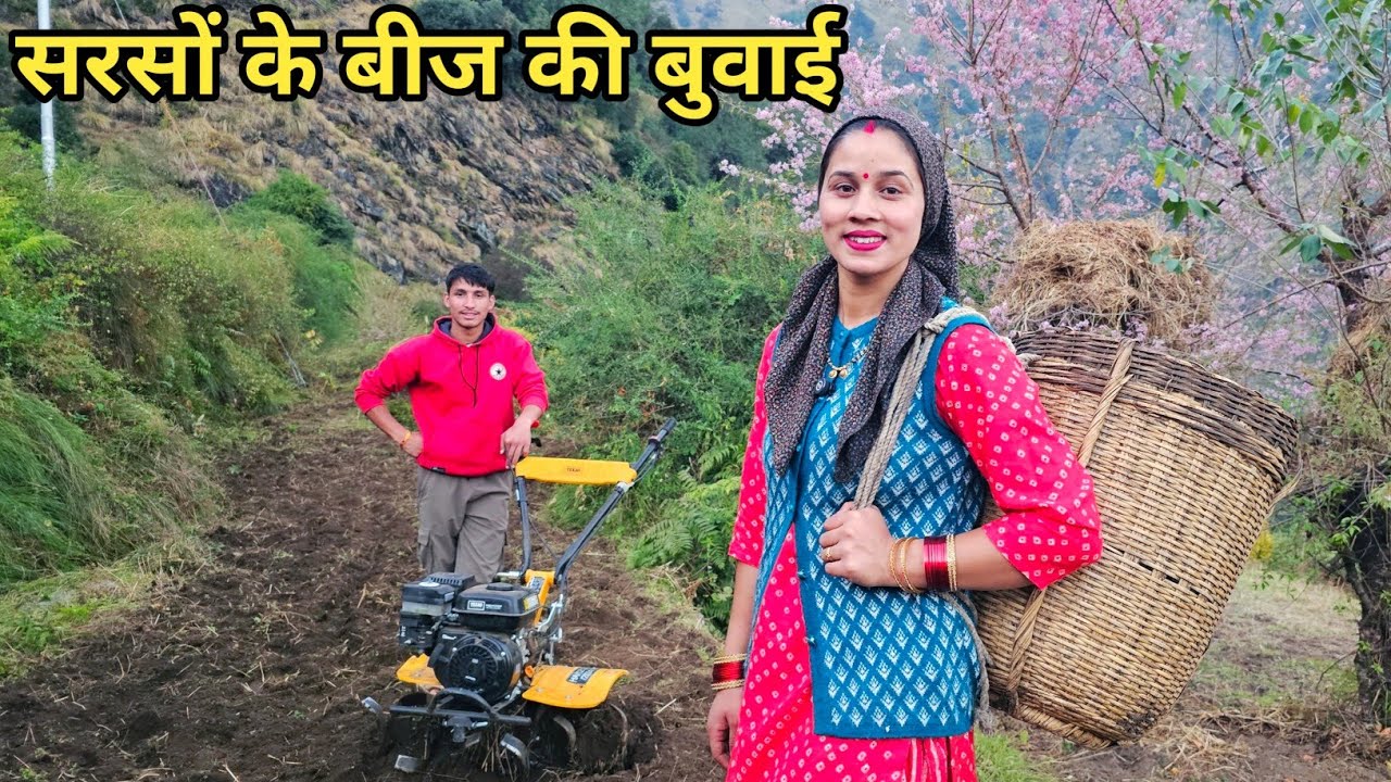 हमारे खेतों में बीज की बुवाई का काम भी पूरा हुआ🤗| Preeti Rana|Pahadi lifestyle vlog|Triyuginarayan 