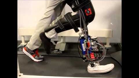 Unified Control of a Powered Knee-Ankle Prosthesis with a Human-Inspired Phase Variable