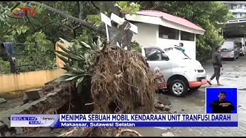 Mobil Kendaraan Unit Transfusi Darah Tertimpa Pohon Tumbang di Makassar - BIS 03/04