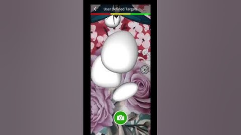 Augmented Reality User Defined Target