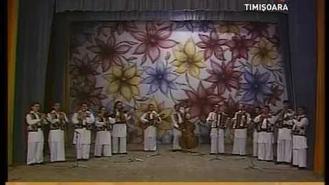 Doina Timisului 1996 -Suita de orchestra.