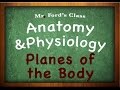Understanding Body Planes
