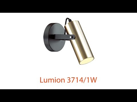 Видеообзор Lumion 3714/1W