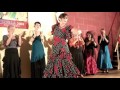 Medley Soloparts Flamenco Studio Martinita