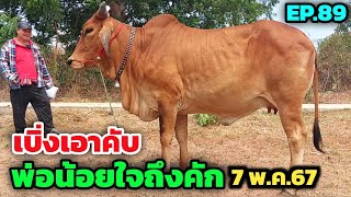 พ่อน้อยวัวถูก EP.89 ไม่ซื้อคลิปนี้จะซื้อคลิปไหน? | 7 พ.ค.67 | วัวท้อง แม่ลูก พ่อพันธุ์ ชุดตั้งฟาร์ม