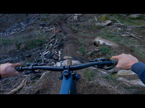 Frank n' Furter Into Riff Raff Into Rocky Horror | Rotorua - YouTube