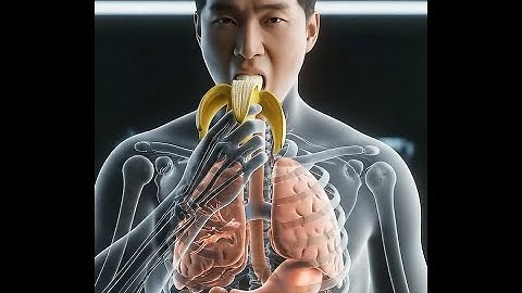 Inside Your Gut:  Animation of Banana Digestion & Parasite Worms