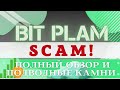 "Bit Plam" - полный обзор и подводные камни!