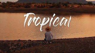 Tropical by danyvin - Vlog Music - Background Music - Travel Vlog Music