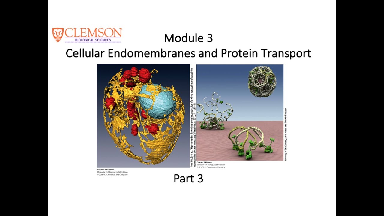 11 FALL20 BIOL 8420 Module 3 Part 3