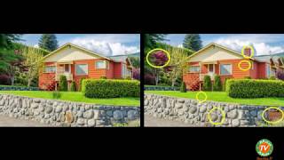 Tìm Điểm Khác Biệt Giữa 2 Bức Tranh - Nhạc thư giãn - Nhẹ Nhàng screenshot 2