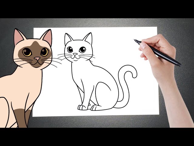 instruções para desenhar gato engraçado. siga passo a passo