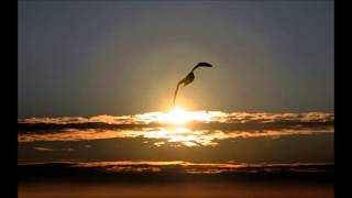 Drusoul- Fly Away With The Wind