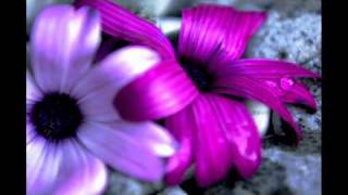 My Photography