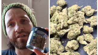 Thca small buds. "Dank gelato" indoor flower review!  I tried the dank series 🍨 fresh Bud 