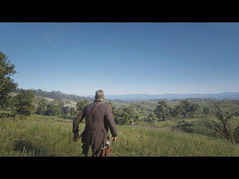 Red Dead Redemption 2 PC preview: hands-on at 4K and 60 fps - Polygon